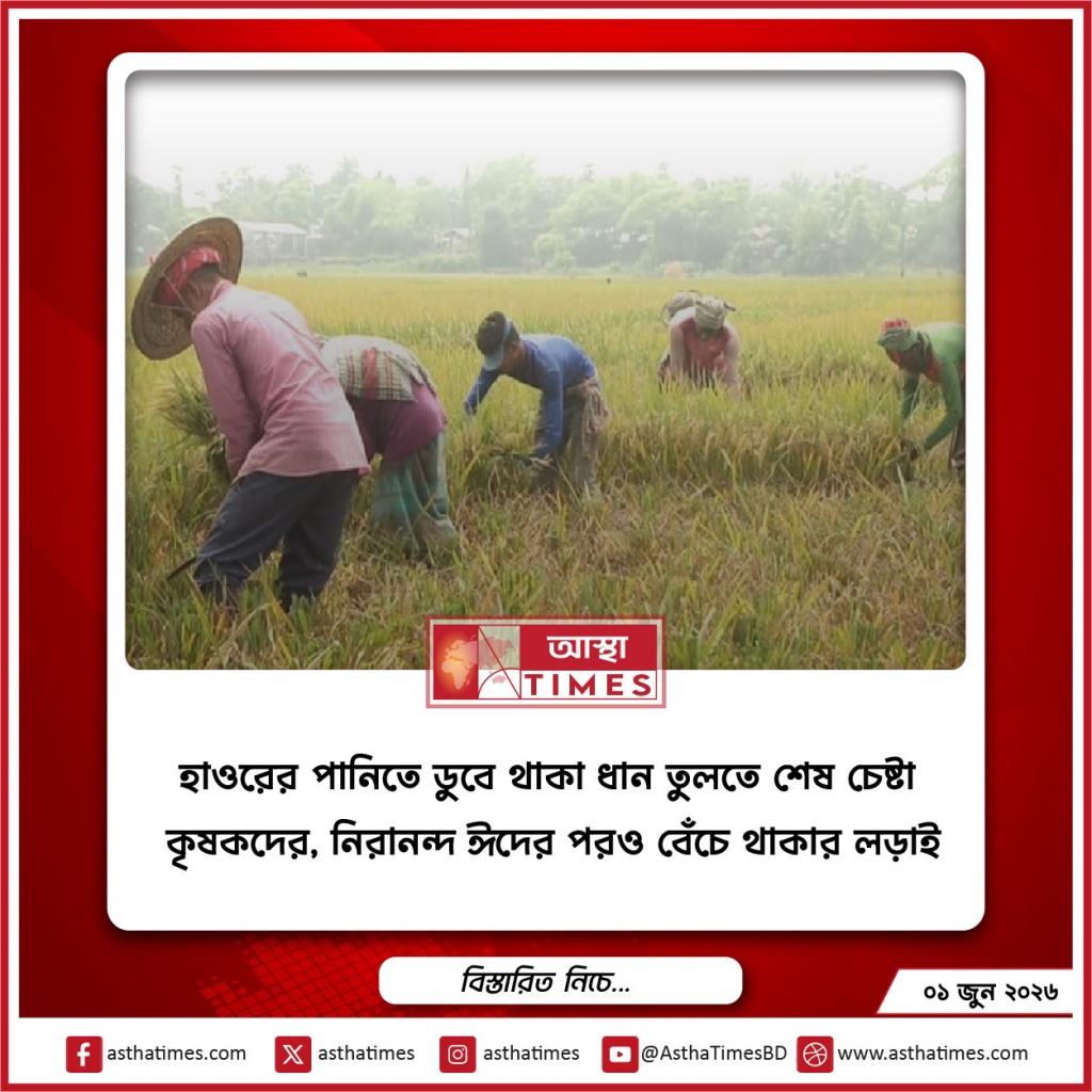 হাওরের পানিতে ডুবে থাকা ধান তুলতে শেষ চেষ্টা কৃষকদের, নিরানন্দ ঈদের পরও বেঁচে থাকার লড়াই