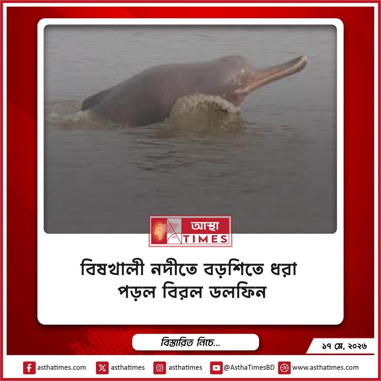 বিষখালী নদীতে বড়শিতে ধরা পড়ল বিরল ডলফিন
