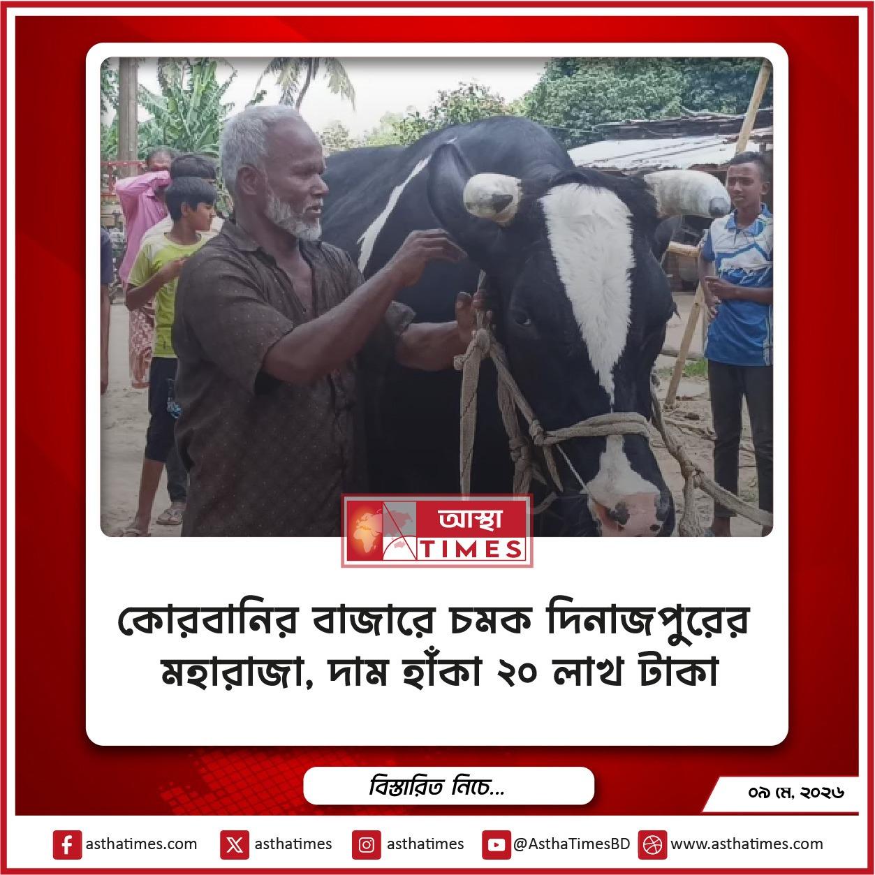 কোরবানির বাজারে চমক ‘দিনাজপুরের মহারাজা’, দাম হাঁকা ২০ লাখ টাকা